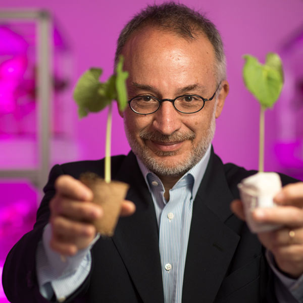 stefano mancuso